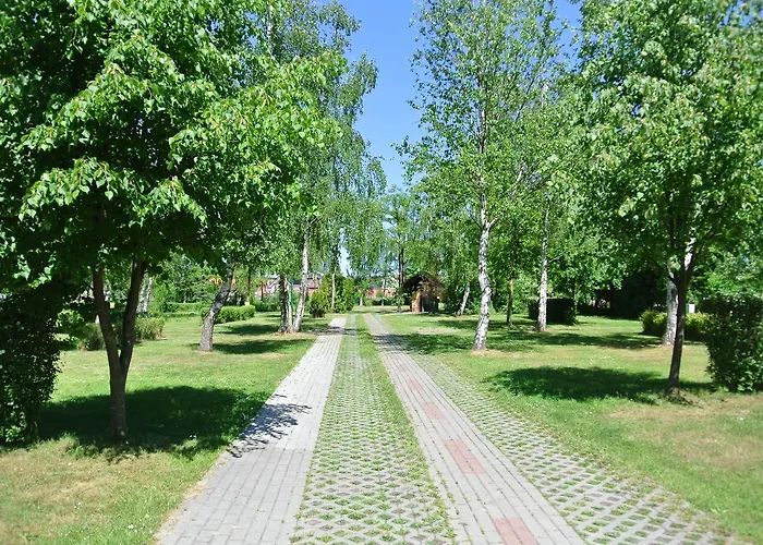 Marco Polo Kamp alanı *